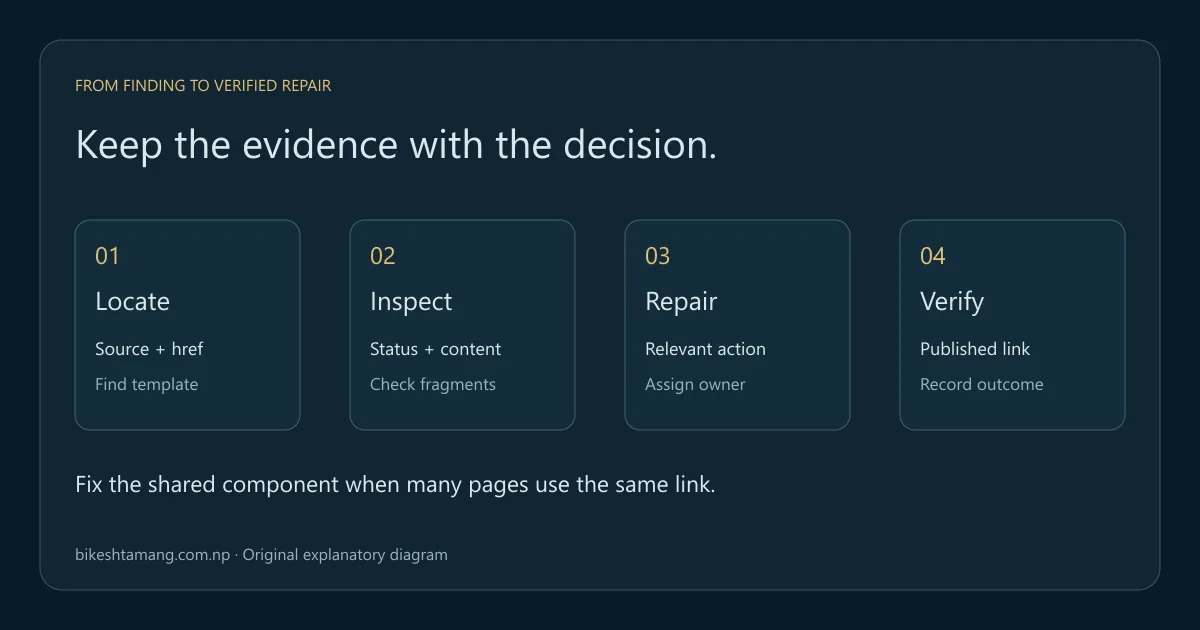 Broken-link repair follows the source href through response checks, a relevant content decision and a retest of the corrected link.