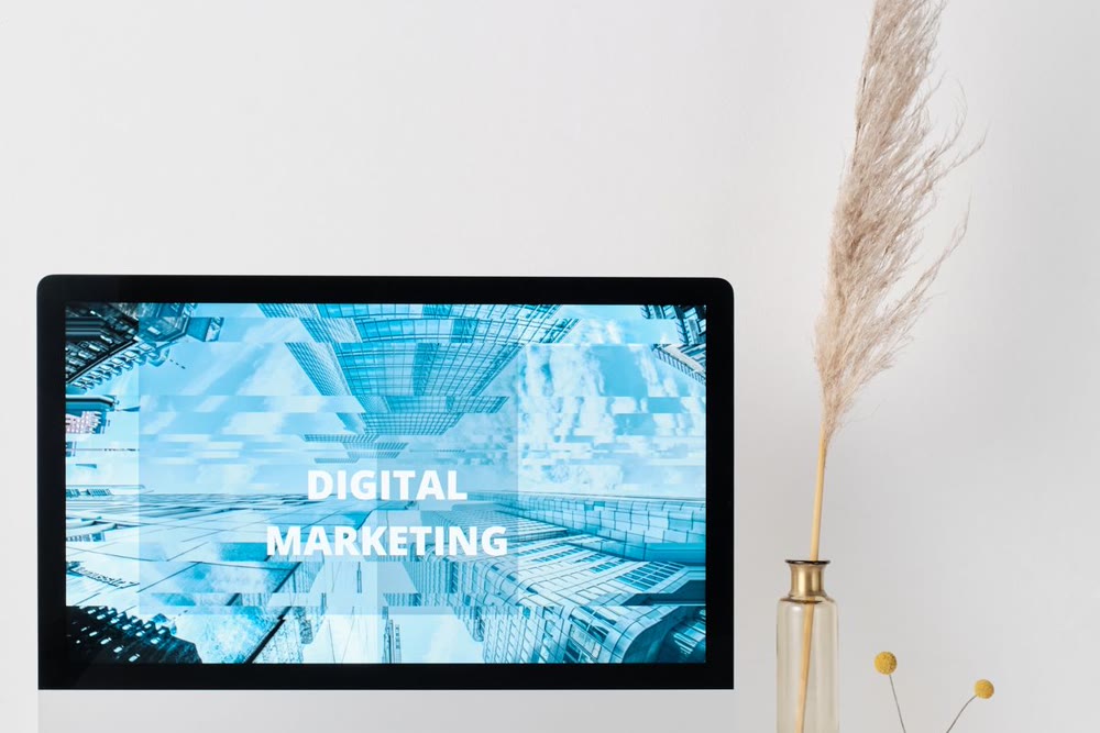 A digital marketing professional analyzing search trend data on a large display screen